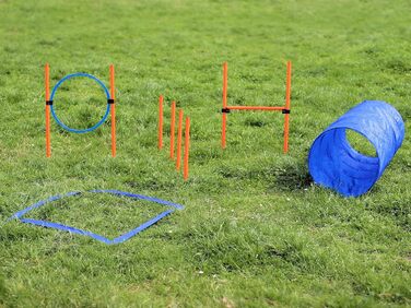 Набір для дресирування собак Agility: тунель, обруч, бар'єри, слалом, стійки