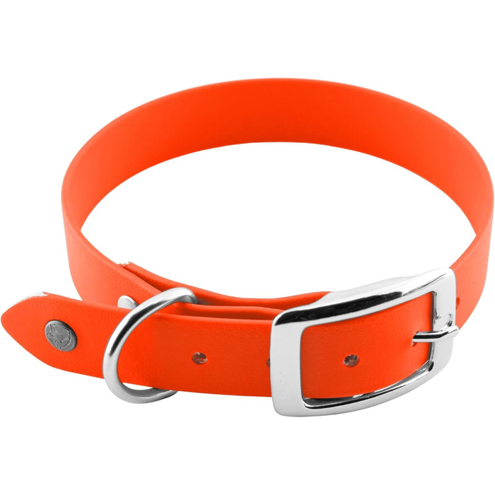 Ленні нашийник для собак Biothane 25 мм, з подвійною пряжкою, персоналізований з іменем/номером телефону, стійкий до бруду та води