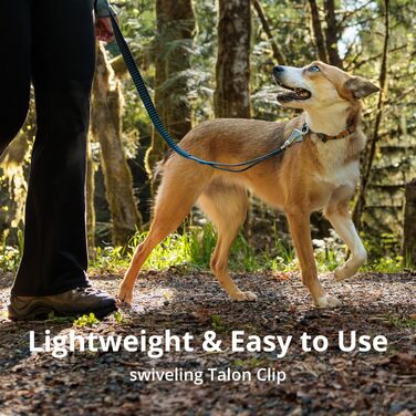 Ruffwear Roamer Bungee Dog Leash for Running, Cycling, or Hiking, Can Be Used with or Without Hands, Yellow Snow, 7.3-11ft