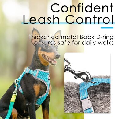 Шлейка для собак ThinkPet No-Pull, дихаюча, для малих, середніх та великих собак, регульована, м'яка, для прогулянок, безпечна, з контролем, з підкладкою, світловідбиваюча (Блакитна, L, 1 шт.)