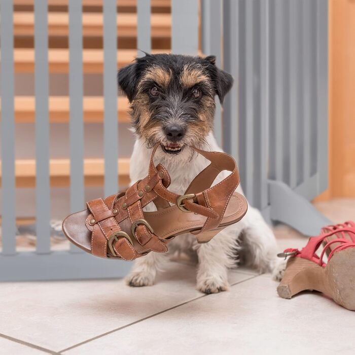 Захисне ворота Relaxdays для собак, сіре, 70 x 154 см, розкладне, з ніжками