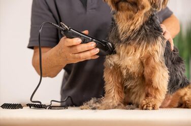 Машинка для стрижки собак Wahl 1400, комплект для догляду, чорна