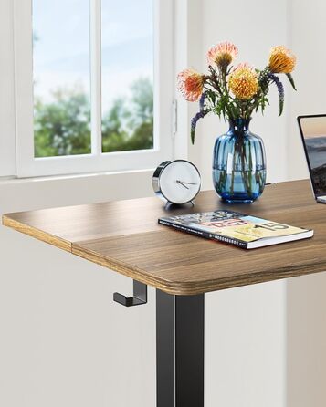 ErGear Electric Standing Desk 100x60cm - Walnut Finish, 4-Memory Smart Desk for Home Office with Mounting Plate