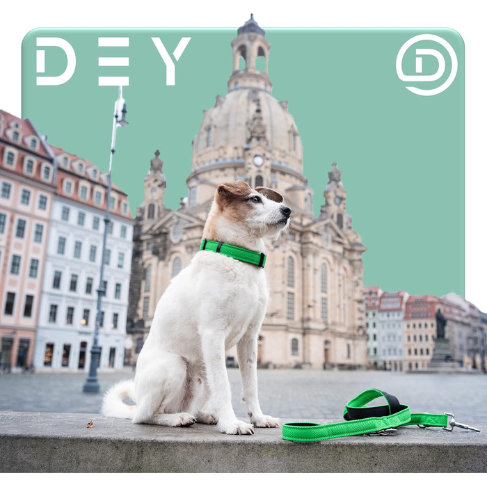 Преміум нашийник для собак DEY Air Mesh | Регульований | для малих, середніх та великих собак | багато кольорів та розмірів | нашийник для собак та котів | нашийники для собак | нашийник для цуценят | Рожевий, M [M/L] - 2,5 x 34-49 см Рожевий