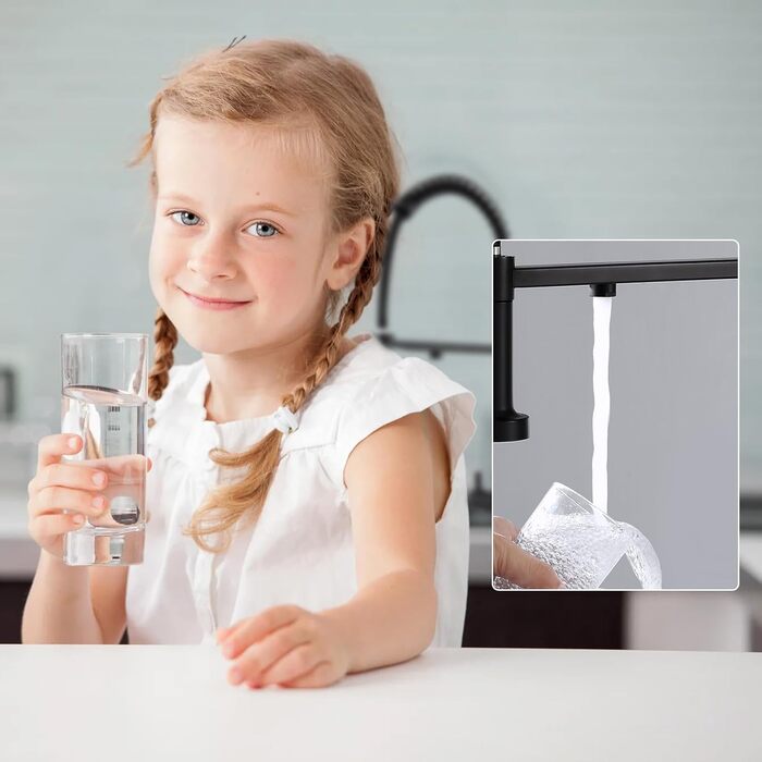 3-х стороння кухонна змішувач з поворотним гусаком 360°, 2 функції (з душем), 3 в 1, для фільтрів, з нержавіючої сталі та латуні, чорний