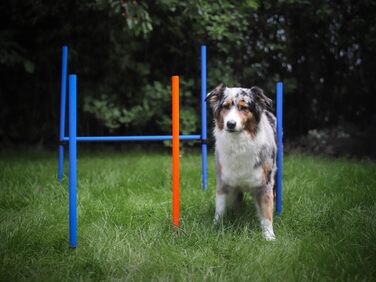 Набір для аджиліті NATIV LEMODO для собак | Тренування собак з бар'єром та стрибковим кільцем | Легкий у транспортуванні аксесуар для тренувань | Початковий набір у собачий спорт без тунелю