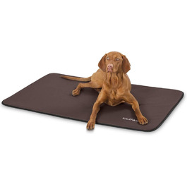 Knuffelwuff Faux Leather Dog Mat Cheyenne L 95 x 60cm (Brown, L 120 x W 80 x H 2 cm)