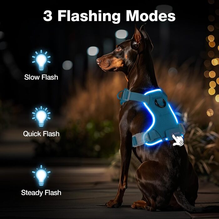 Світлодіодна шлейка для собак з підсвічуванням LED, перезаряджувана, для малих, середніх та великих собак, світловідбиваюча, регульована, XL (Чорний, Medium)