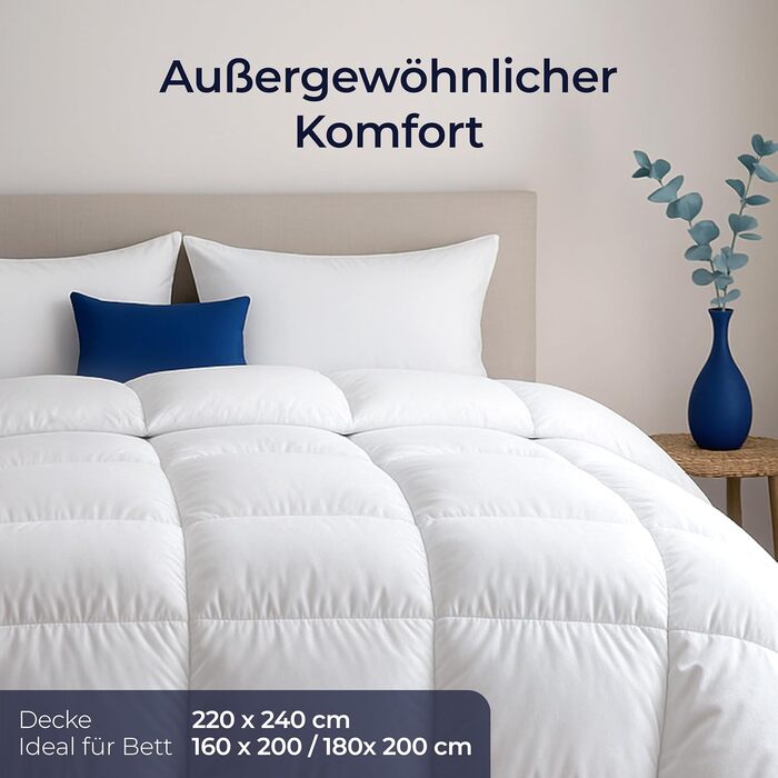 Пухова ковдра Dreamzie Komfort преміум-якості 220x240 см, щільність 650 г/м², тепла зимова ковдра