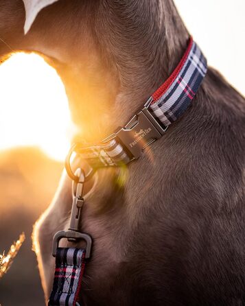 Dog collar with 2m leash set - adjustable leash - Edinburgh Collection - dog collar for large dogs, collar for small & medium-sized dogs - dog collar including gift box