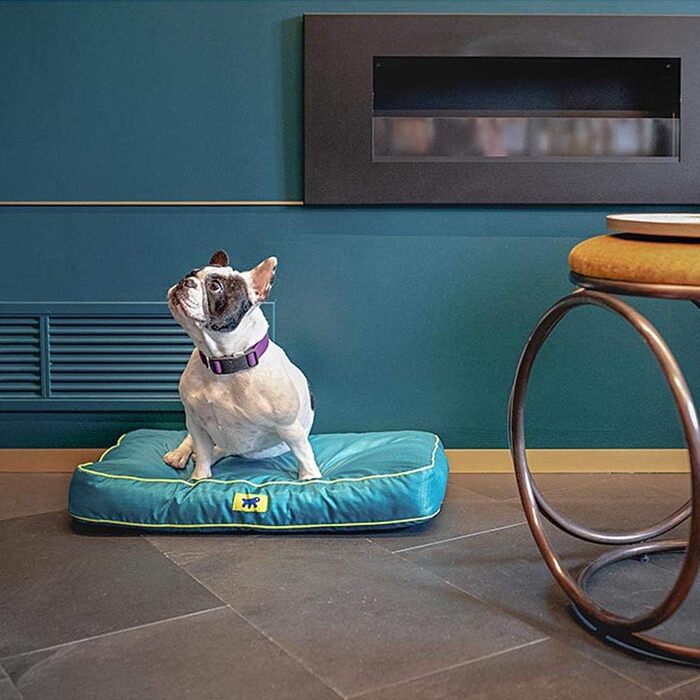 Ортопедичний лежак для собак Ferplast Polo - лежак для котів, миючий, зйомний, 80x50x8 см, M (BLAU, 65x40x8 см)