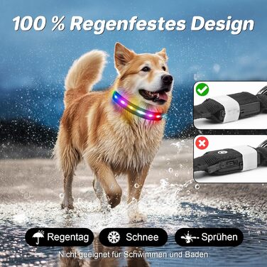 LED-нашийник для собак з підзарядкою USB, вологостійкий, регульований, 3 режими, для малих, середніх та великих собак (Чорний, L(48-60см))