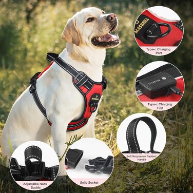 Нашийник для собак Masbri з підсвічуванням, регульований, світловідбиваючий з ручкою, м'який, світловідбиваючий для собак середніх та великих порід, чорно-білий, TC3005B, чорно-білий (M, червоний)