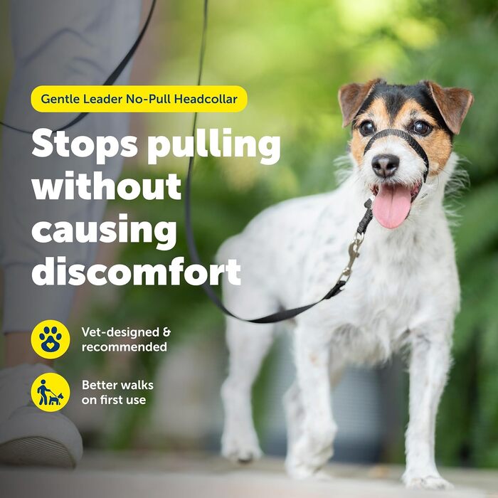 Нашийник для дресирування PetSafe Sanfter Führer, бежевий, Small (до 11.3 кг)