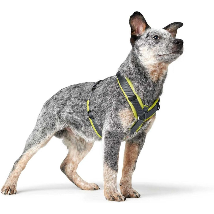 Набір посуду HUNTER Maldon, 53-71/M, лімоний/сірий, M