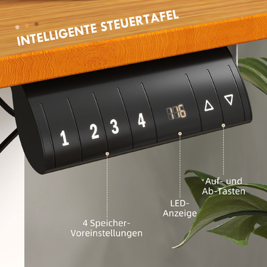 Vinsetto Height-Adjustable Standing Desk Electric 120x60cm with Anti-Collision Cable Box and Hooks for Hanging from Chipboard Natural Wood