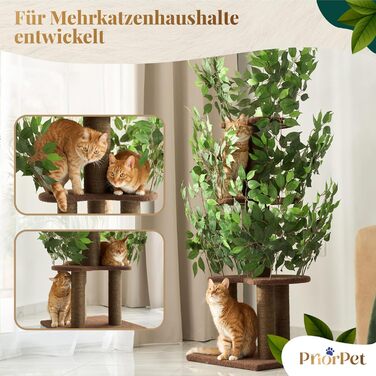 Дерево для котів з листям – Стабільний та компактний – 4 поверхні для дряпання та 3 стовпчики – Ідеально для лазіння, ховання та сну – Легка збірка – Безпечний та довговічний cat tree з натуральних матеріалів