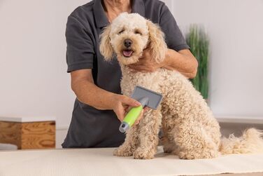 Щітка Wahl для грумінгу собак середнього розміру, розмір M