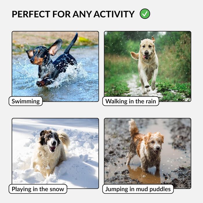 Водонепроникний нашийник для собак CollarDirect: регульований, силікон та пластик, не має запаху, легко миється, безпечна застібка, для собак маленьких, середніх та великих порід (XL (45-66 см), L (35-45 см), фіолетовий)