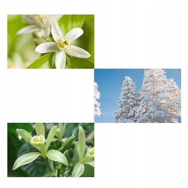 Чоловіча туалетна вода Dior Fahrenheit, 100 мл