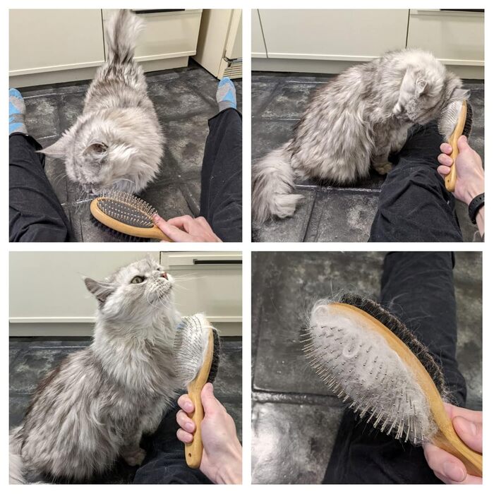 Щітка для собак та котів: для довгої та короткої шерсті, подвійна щітка, м'яка щітка для цуценят, собак та котів