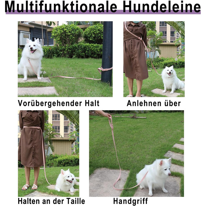 Нашийник для собак з металевою застібкою, двосторонній з іменем та номером телефону, регульовані розміри для маленьких собак, M та L