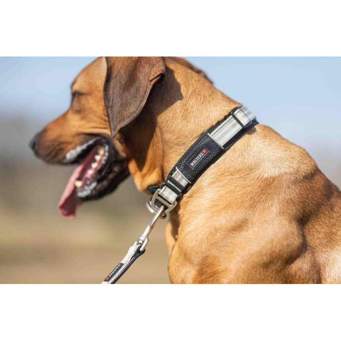 Вольтерс Ошийник Актив Про, розмір 35-40 см, колір шампань/чорний