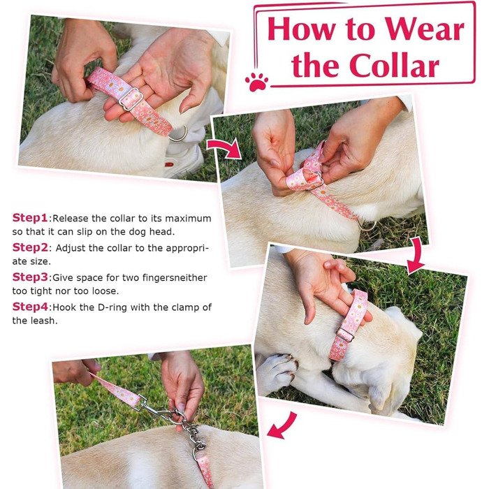 Нашийник для великих собак Martingale, нержавіюча сталь, протитягальний, XL (22-28 дюймів), блакитний