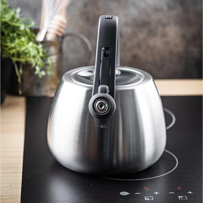 Чайник сталевий 2.5L Induktion (сріблястий)