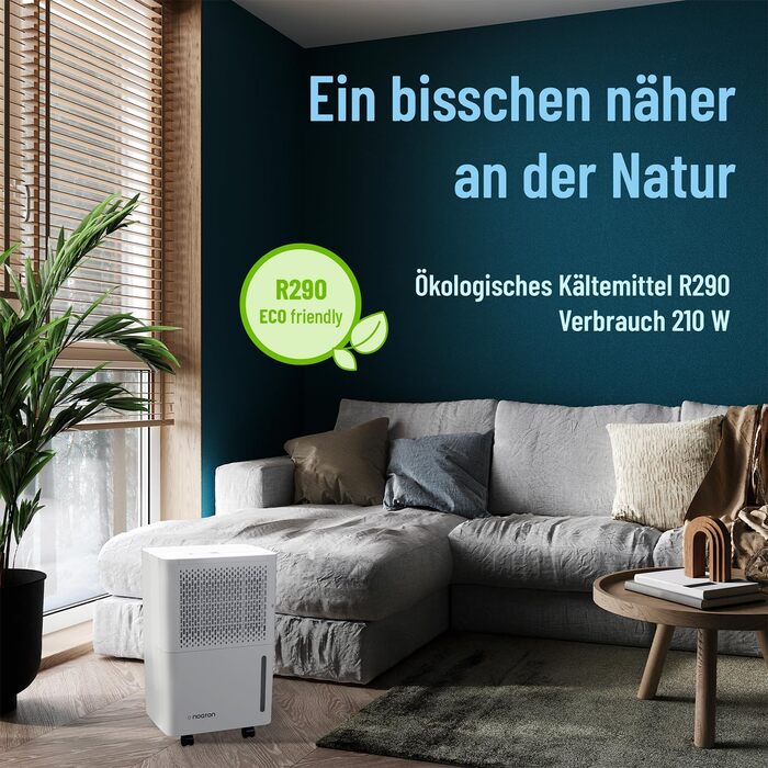 Noaton® DF 4212 - Електричний осушувач повітря 13,2 л/добу, для квартири та підвалу, з таймером та захистом від переливу