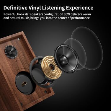 Програвач вінілу HiFi Bluetooth USB з колонками, стереосистема Dual, дерев'яний корпус, регульоване противага, картридж магнітного типу, RCA вихід