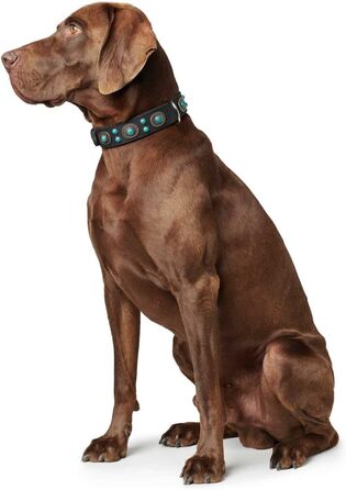 Нашийник для собак HUNTER SIOUX, шкіряний, в індійському стилі, з прикрасами, розмір S-M, чорний