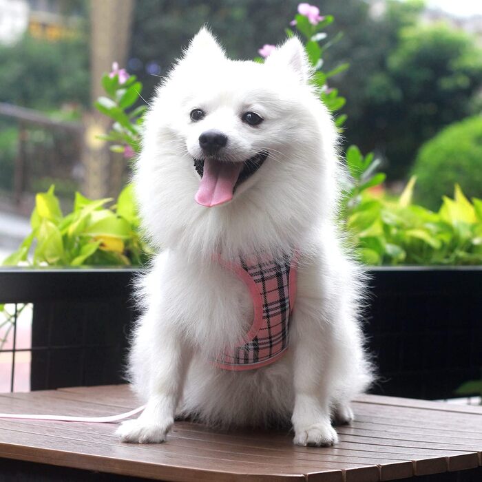 Шлейка для собак Suredoo для маленьких та середніх порід, антинатяжна, дихаюча, з повідком (рожевий в клітинку)