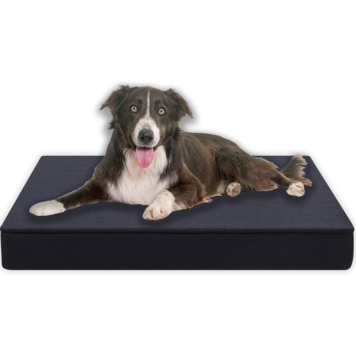 Ортопедична подушка для собак Преміум-класу з 8 см шаром піни, сіра, розмір M, 70 x 50 см. Матрац для собак з тканинним покриттям, придатний для прання при 40°C, гіпоалергенний. Підходить для маленьких собак.