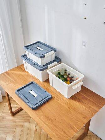 Cetomo Plastic Storage Box with Durable Lid and Safety Closure, Stackable and Nestable, 3-Pack, White (35L*6)