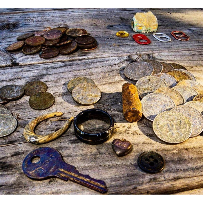 Металдетектор Bounty Hunter Quick Draw Pro: професійний пошук металу, ідентифікація цілі, бронза, срібло, золото