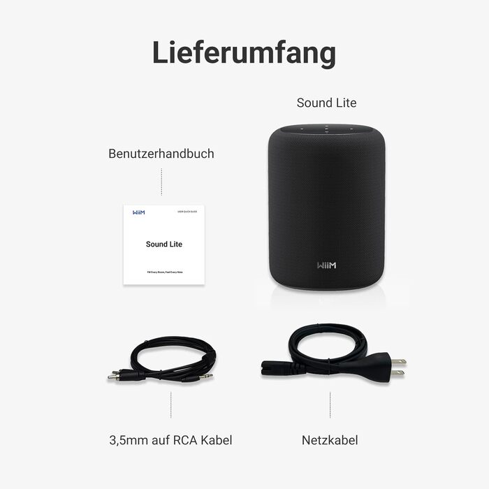 WiiM Sound Lite: Розумна колонка з Alexa, Wi-Fi 6E, Bluetooth 5.3, Hi-Res Audio (24-bit/192kHz), AI RoomFit, 100W, чорна