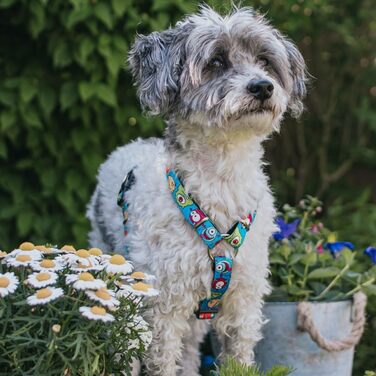 Нашийник для собак Max & Molly H-подібної форми, ультракомфортний, з неопрену, для маленьких собак, Little Monsters, з підкладкою, безпечний та ультралегкий