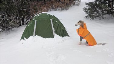 Намет Clostnature для кемпінгу 1/2 особи, водонепроникний, 4 сезони, зелений