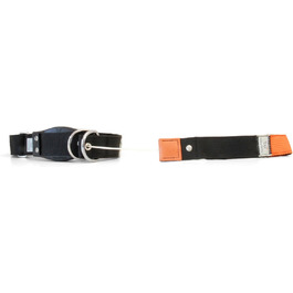 WowWow Professional Dog Collar with Leash - Size 37-46 cm, 195g, lightweight, innovative collar with integrated leash - known from 'The Lion's Den' (M, Black)
