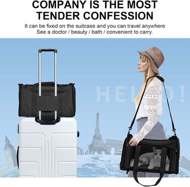 Транспортна сумка для котів та собак, складана переноска з сіткою, чорна