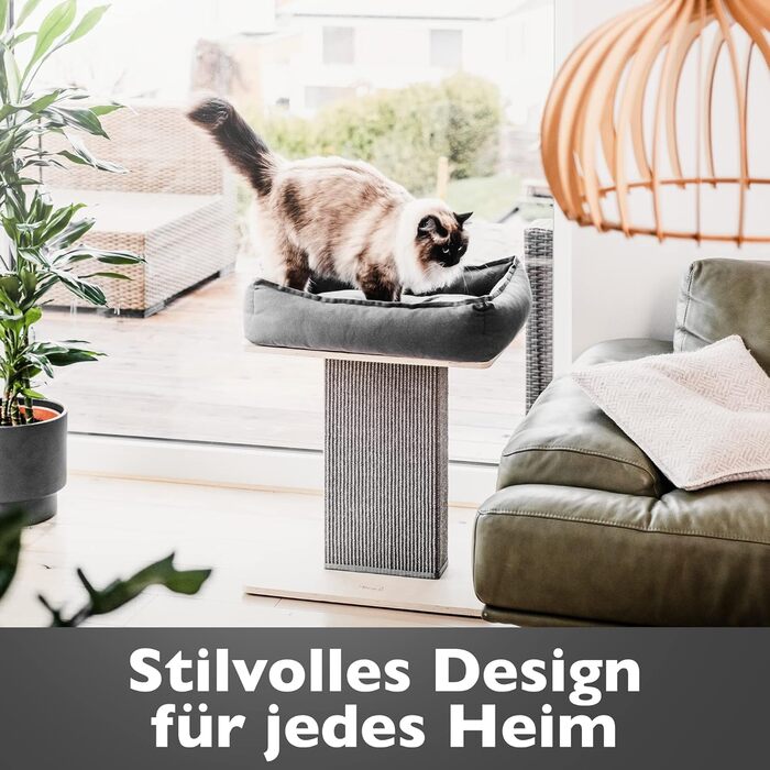 Nemmy Premium Cat Tree Small Beige | Stable Scratching Post Extra Wide | Cat Bed with Cushion | Cat Tree for Large Cats | Modern Wood Natural | Scratching Post | Scratching Post (Birch/Dark Grey)