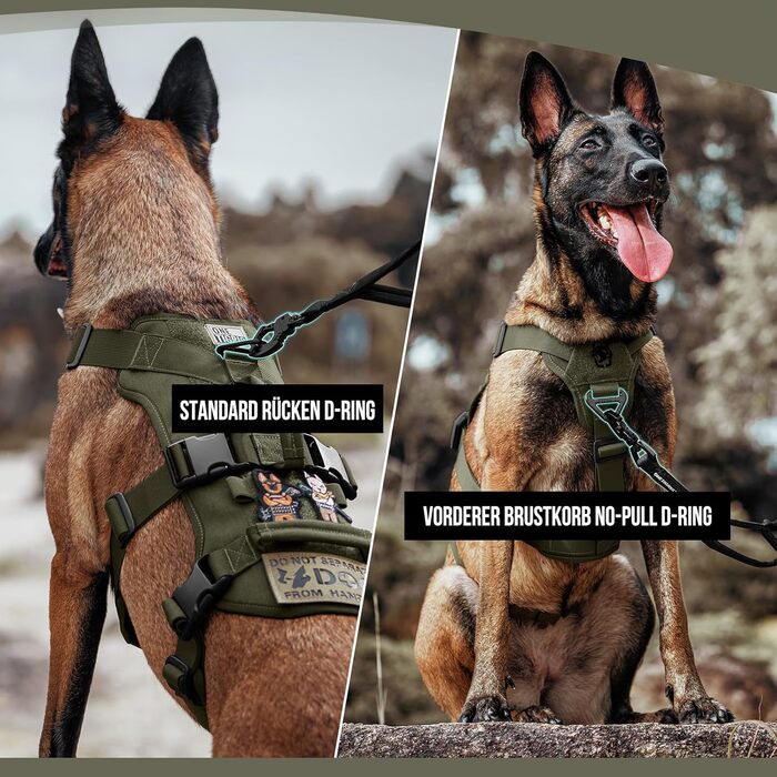 Нашийник для собак OneTigris T-Bone тактичний, зелений, регульований, для полювання, прогулянок, тренувань та активного відпочинку (M, XL:39-64кг)