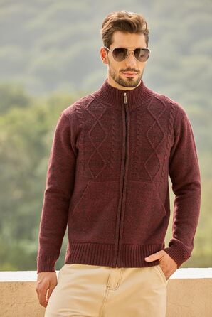 Чоловіча флісова куртка Les Umes з коміром-стійкою, Regular Fit (Бордовий, 3XL)