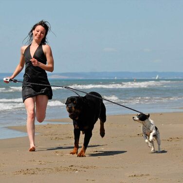 EXPAWLORER Подвійна висувна собача шлейка - подвійний намотування, блокування, до 72.6 кг загальної ваги, 36.3 кг