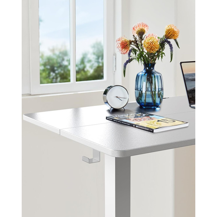 ErGear Electric Standing Desk - 100x60cm - Height Adjustable Desk with Memory Function for Home Office & Connection Plate