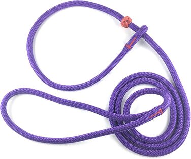 PatchArt-Leine (Green) - Leash and collar in ONE (Purple)