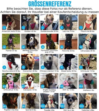 Шлейка для собак SlowTon з кріпленням для автомобіля, чорна, розмір M. Двошаровий дихаючий матеріал, підходить для повсякденних спортивних активностей.