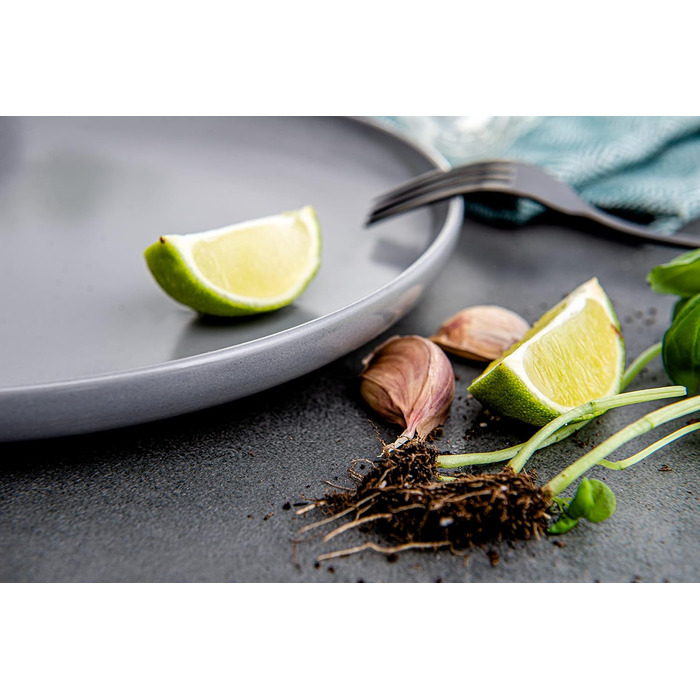 Набір посуду Konsimo VICTO для 6 осіб: 18-ти частинний сервіз з 6 тарілок, сірий - набір посуду для сім'ї