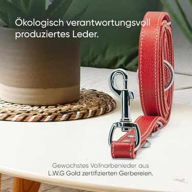2m Dog Leash made from certified leather - Adjustable Training Leash - Handmade in EU - Dog Leash for Large, Medium & Small Dogs - Leather Leash (25mm wide) (25mm Width, Red)